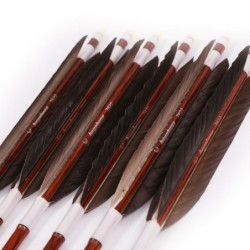 Hayabusa - Eagle-feather Carbon Ya - Pack of 6