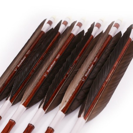 Hayabusa - Eagle-feather Carbon Ya - Pack of 6