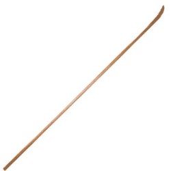 Jikishinkage-ryu Naginata