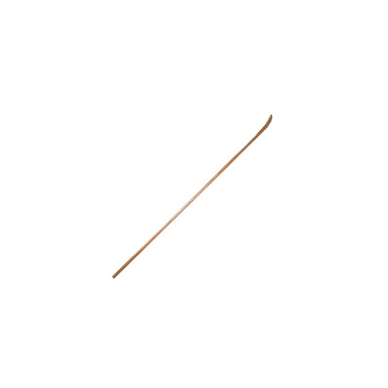 Jikishinkage-ryu Naginata