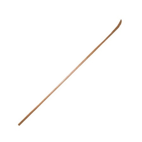 Jikishinkage-ryu Naginata