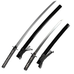 Kendo Kata Type