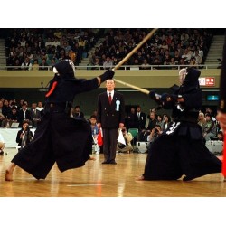 Kendo Shiai Set