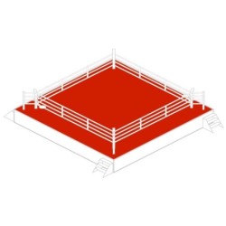 Boxring Canvas - rot - 6