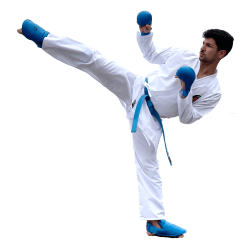 Karategi Shureido Waza – WKF Approved 2025-2029, Broderie Épaules Bleue/Rouge, Vêtement Sur Mesure | Artsmartiaux.fr