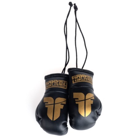Fighter Mini Boxing Gloves - black/gold - Black
