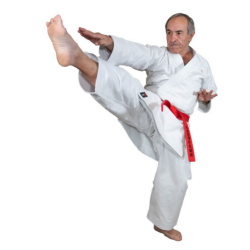 Nouveau Karategi Kaiten Saizen – Performance et Style pour la Compétition | Artsmartiaux.fr