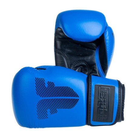 Fighter Boxing Gloves Amateur - blue
