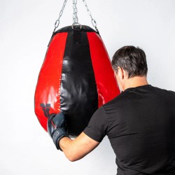 Sac de vitesse professionnel The Fighter - noir/rouge