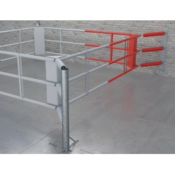 Ring de boxe au sol Fighter Wall II avec 3 cordes