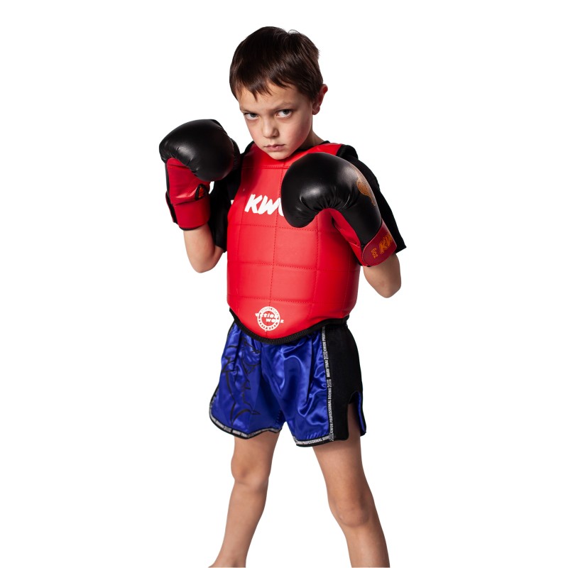 Plastron Thai Boxing Amateur Réversible
