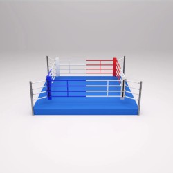 Anneau de boxe d'entraînement FIGHTER Stage 0,3 m - 4 séries
