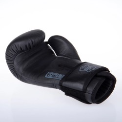 Gants de boxe Fighter SIAM - noir