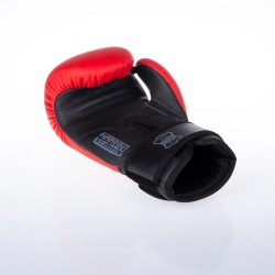 Gants de boxe Fighter SIAM - noir