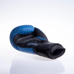 Gants de boxe Fighter SIAM - noir