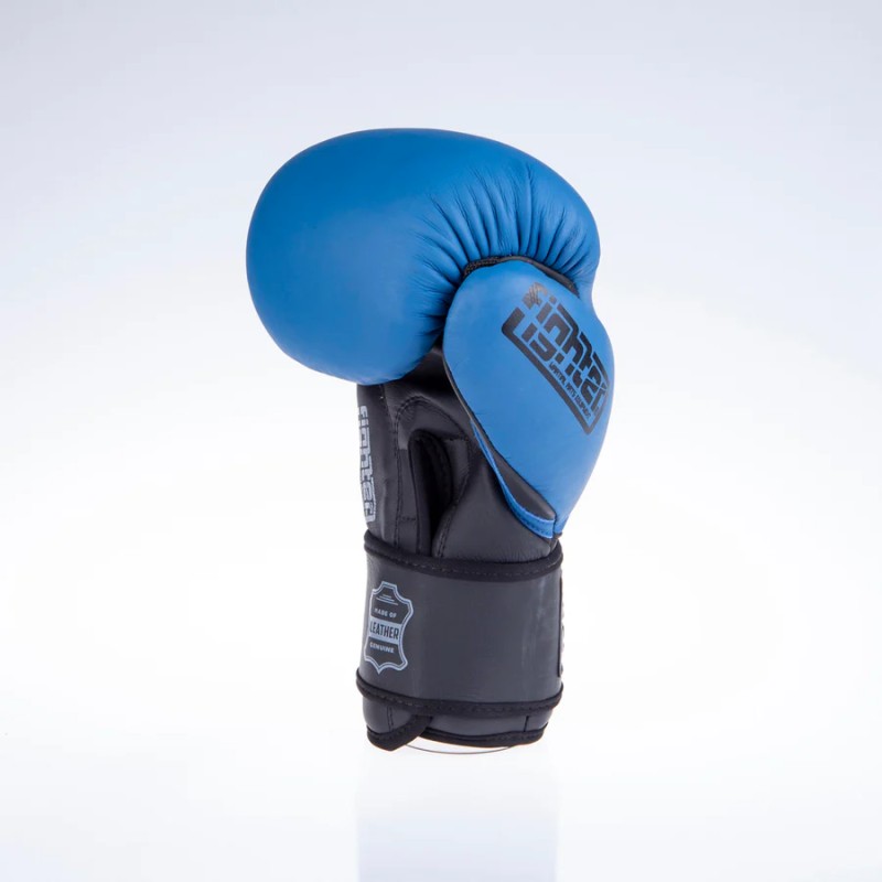 Gants de boxe Fighter SIAM - noir