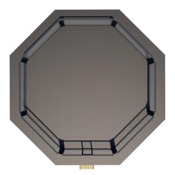 Cage de compétition MMA 7x7m + 1m de trottoir - noir