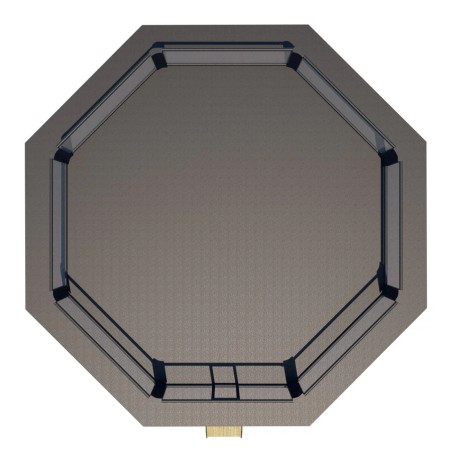 Cage de compétition MMA 7x7m + 1m de trottoir - noir