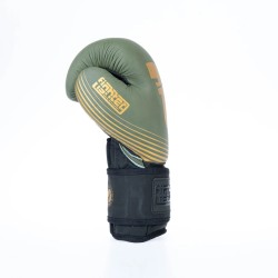 Gants de boxe Fighter SPLIT Stripes - noir