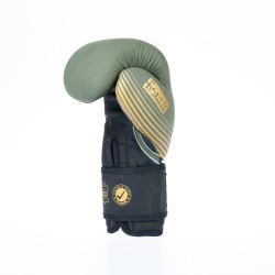 Gants de boxe Fighter SPLIT Stripes - noir