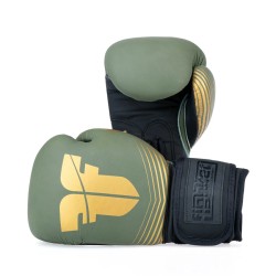 Gants de boxe Fighter SPLIT Stripes - noir