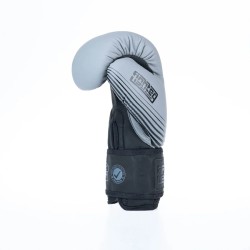 Gants de boxe Fighter SPLIT Stripes - noir