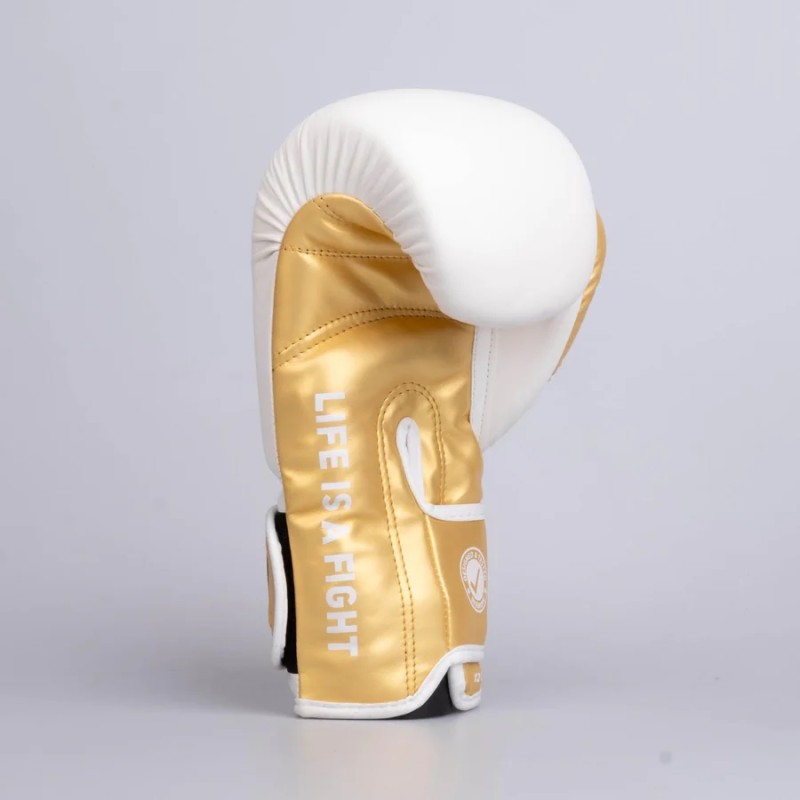 Gants de boxe Fighter Training PU - noir/or, FBG-TRP-001