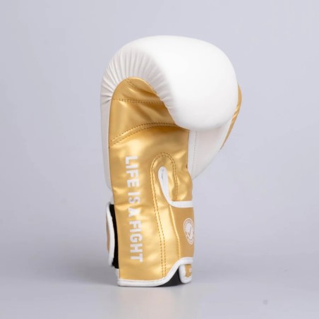 Gants de boxe Fighter Training PU - noir/or, FBG-TRP-001