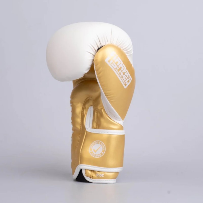 Gants de boxe Fighter Training PU - noir/or, FBG-TRP-001