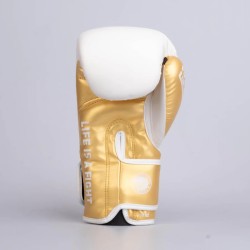 Gants de boxe Fighter Training PU - noir/or, FBG-TRP-001