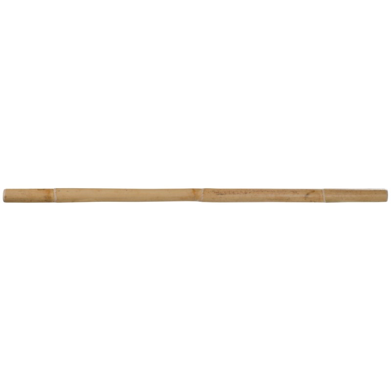 Baton de Rotin Premium