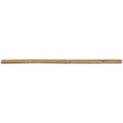 Baton de Rotin Premium