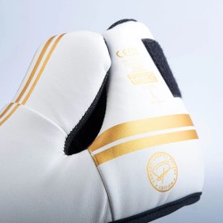 Rayures pour chaussures de combat - Édition SGP - rouge