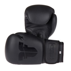 Gants de boxe Fighter SPLIT Stripes - noir