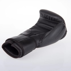 Gants de boxe Fighter SPLIT Stripes - noir