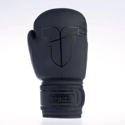 Gants Fighter Basic - bleu/noir